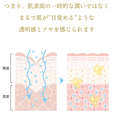 つまり、肌表面の一時的な潤いではなく まるで肌が”目覚める”ような 透明感とツヤを感じられます